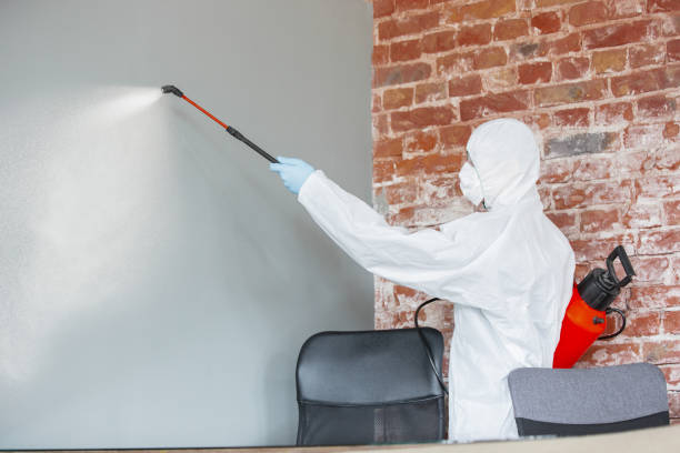 Best Mold Documentation for Insurance Claims  in Enterprise, NV