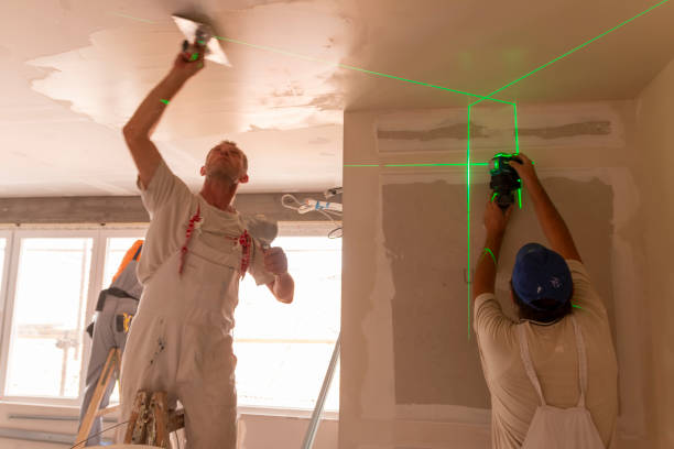 Best Mold Remediation for Vacation Homes  in Enterprise, NV