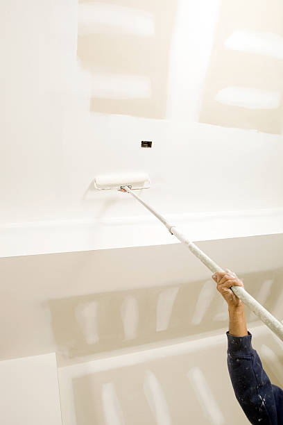 Trusted Enterprise, NV Mold Removal Experts