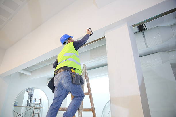 Best Biohazard Mold Removal  in Enterprise, NV