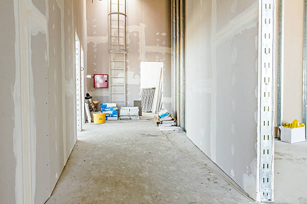 Forensic Mold Investigation in Enterprise, NV