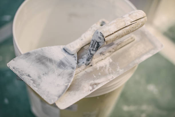 Mold Remediation for Vacation Homes in Enterprise, NV